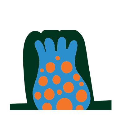 Etiqueta