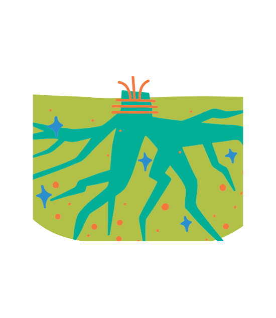 FAQ Image