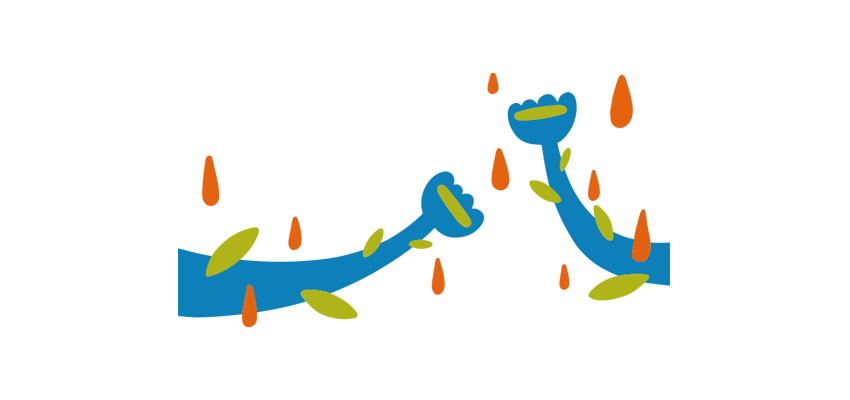 Agrosal Image