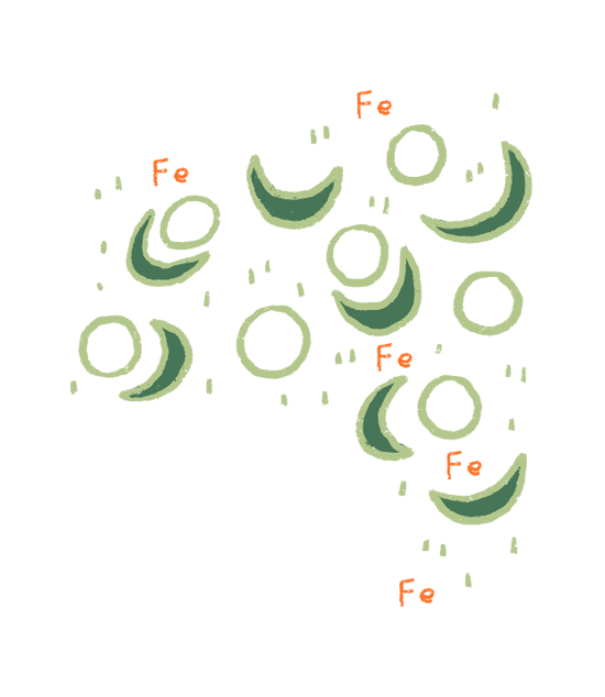 FAQ Image