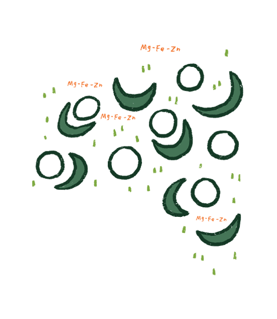 FAQ Image
