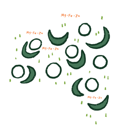 Etiqueta