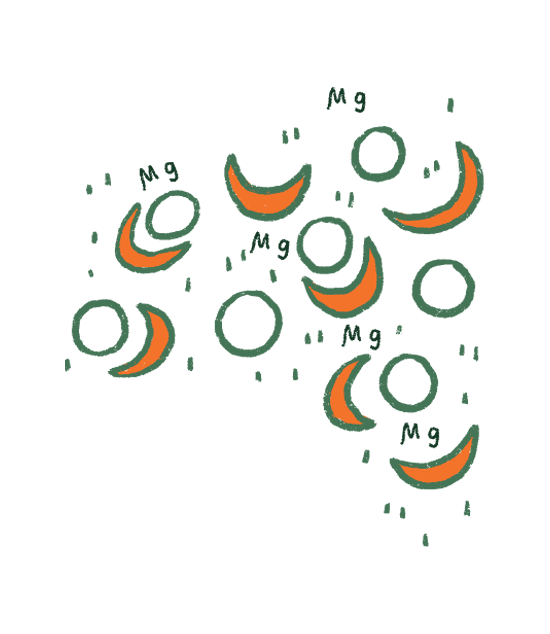 FAQ Image