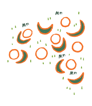 Etiqueta
