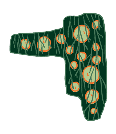Etiqueta