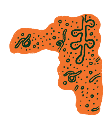 Etiqueta