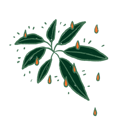 Etiqueta