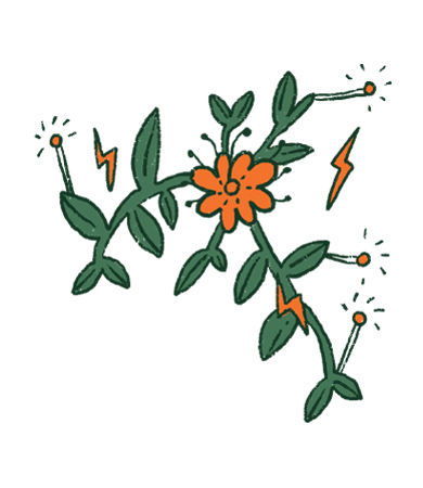 Etiqueta