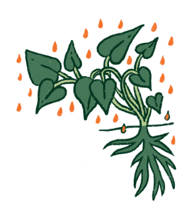 Etiqueta