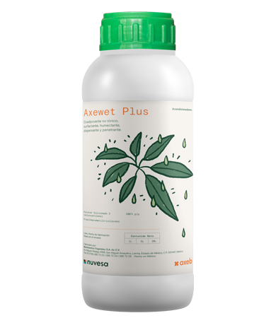 Presentación botella