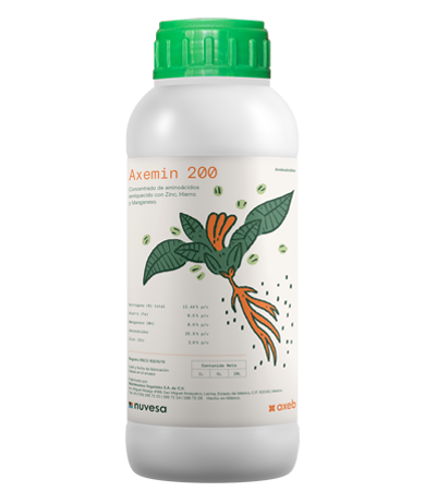 Presentación botella