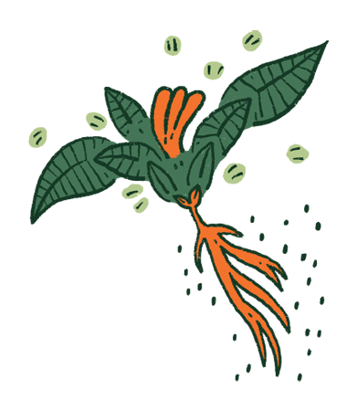 Etiqueta