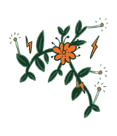 Etiqueta