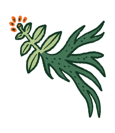 Etiqueta