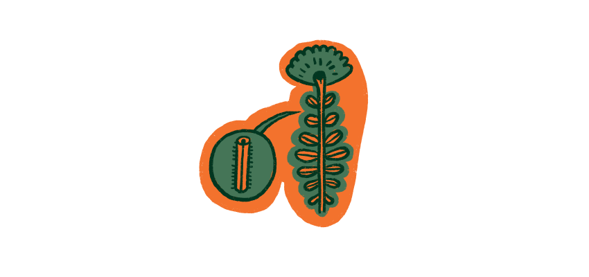 Axestim Image