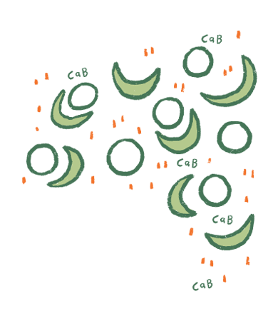FAQ Image