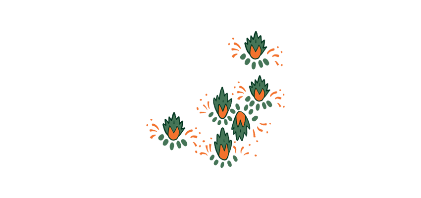 Axeflow Multi Image