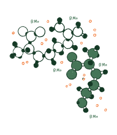 Etiqueta