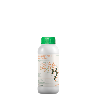 Axequeltrans Mg-Fe-Zn
