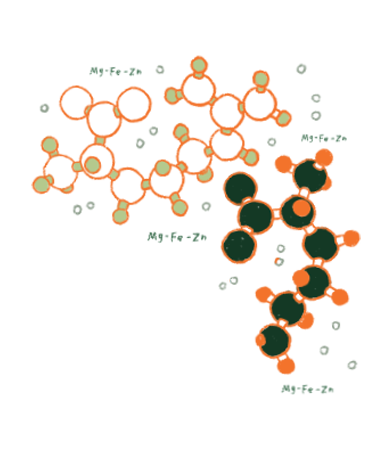Etiqueta