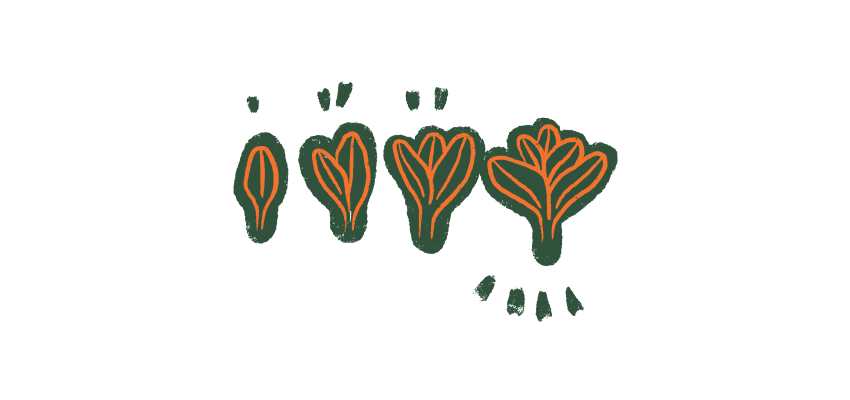 Bioax Image