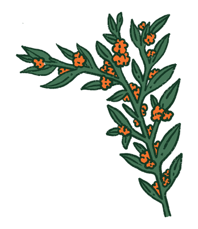 Etiqueta