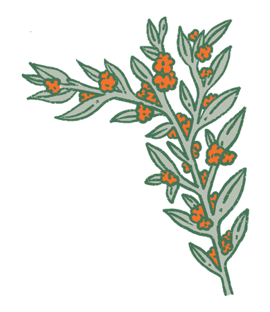 Etiqueta