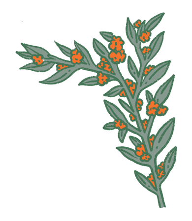 Etiqueta