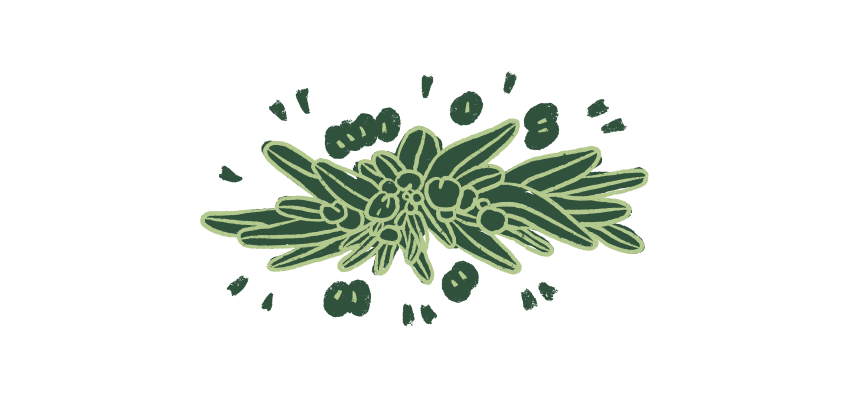 Carbosweet Image