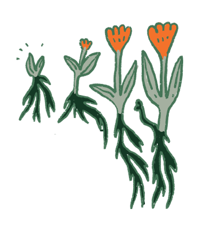 Etiqueta