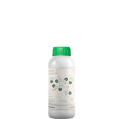 Axefit P