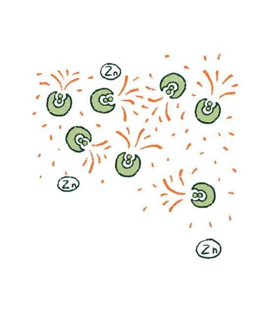 FAQ Image
