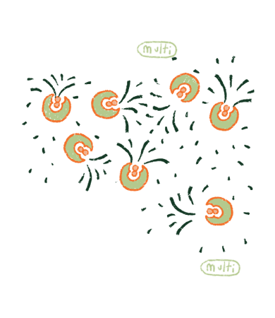 Etiqueta