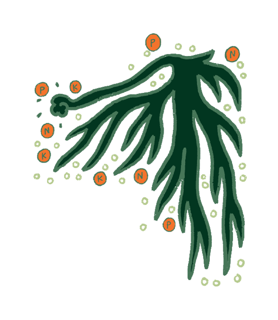 Axecic Image