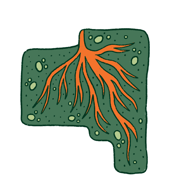 Axesal Image