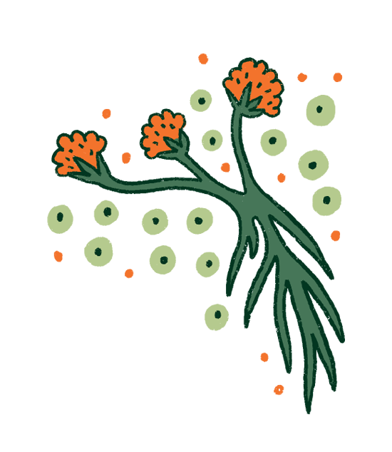 Carboful Soil Image