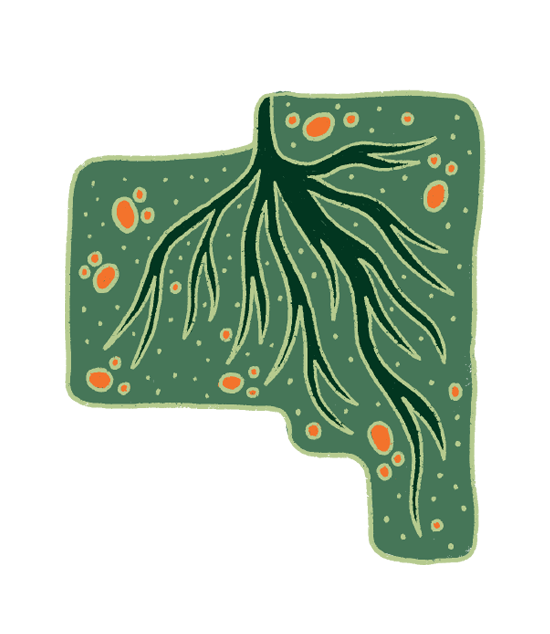 Superflow Ca A Image
