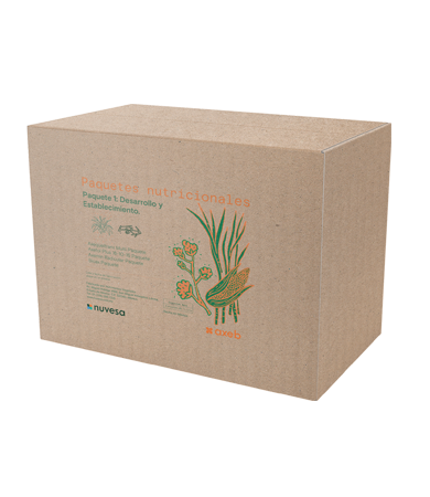 Presentación caja