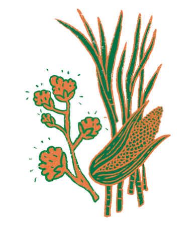 Etiqueta