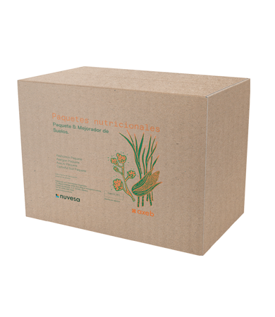 Presentación caja