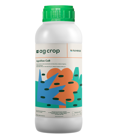 Presentation bottle