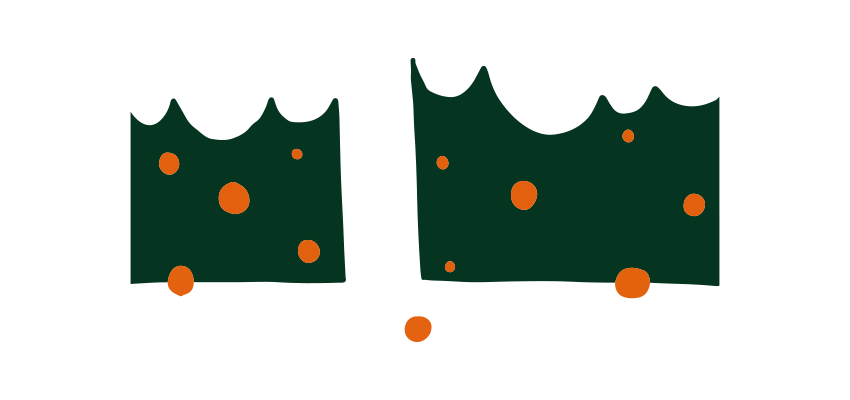 Agromin Radicular Image