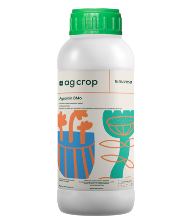 Presentation bottle