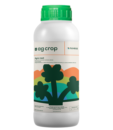 Presentation bottle