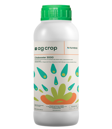 Presentation bottle