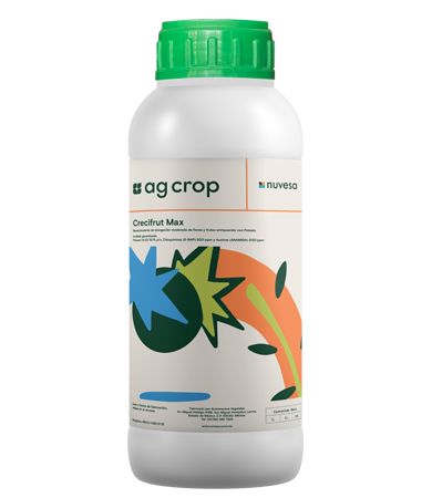 Presentation bottle