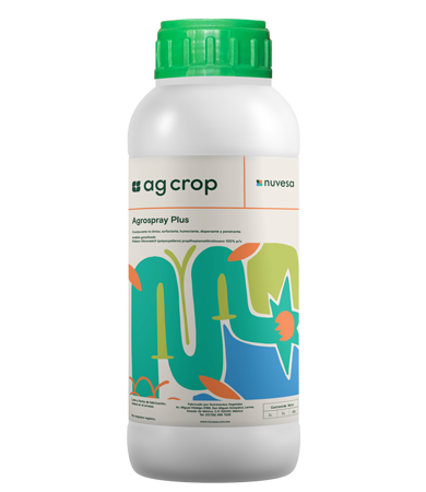 Presentation bottle