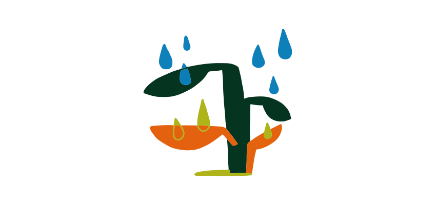 Agrosurf Image