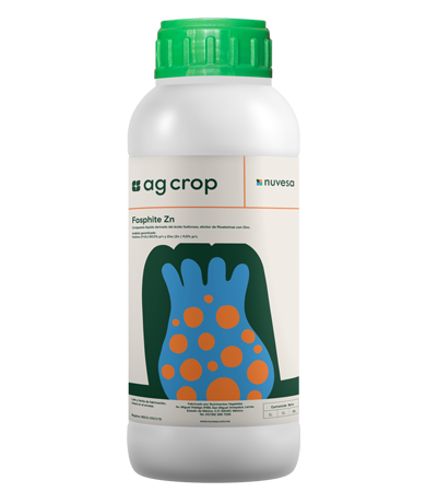 Presentation bottle