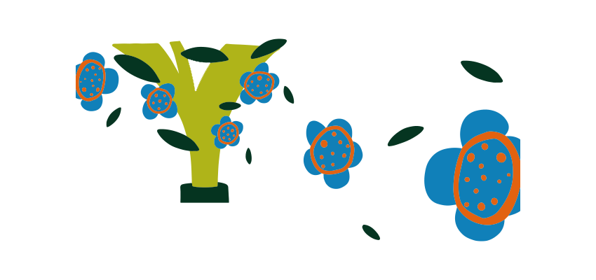 Agroful_soil Image